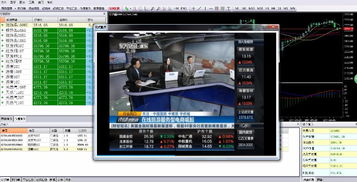 現(xiàn)貨交易軟件首選GTS軟件，公司主推產(chǎn)品優(yōu)惠多多，欲購(gòu)從速